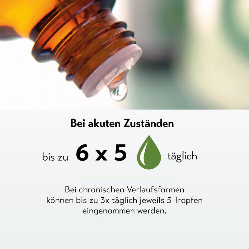 240209 Rubaxx Athro 50ml DE Produktgalerie V008 fi4